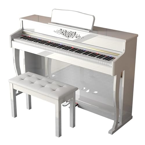 鍵盤楽器 sara 池部楽器店】Waldorf Zarenbourg/Soul Pops Demo / 鍵盤堂